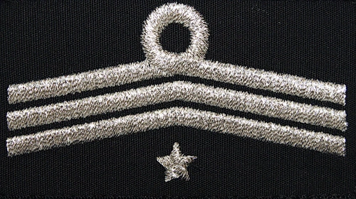 Dystynkcja do ubrania koszarowego OSP, Oddział Powiatowy - członek zarządu