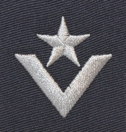 Stopień do furażerki galowej Sił Powietrznych - młodszy chorąży