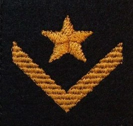 Dystynkcja na beret PSP - młodszy aspirant