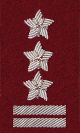 Stopień Wojska Polskiego haftowany bajorkiem do beretu bordowego (tłoczonego) - pułkownik