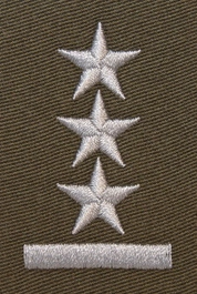 Stopień do furażerki galowej Wojsk Lądowych - porucznik