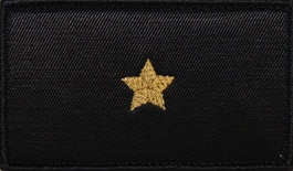 Dystynkcja do ubrania koszarowego - PSP - aspirant