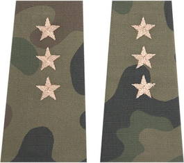 Pochewki polowe - rotmistrz kawalerii ochotniczej