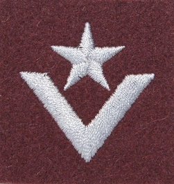 Stopień Wojska Polskiego do beretu bordowego - młodszy chorąży