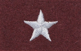 Stopień Wojska Polskiego do beretu bordowego - chorąży