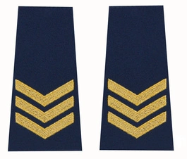 Pagony (pochewki) Straży Miejskiej - starszy specjalista