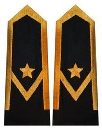 Pagony do koszuli PSP - młodszy aspirant