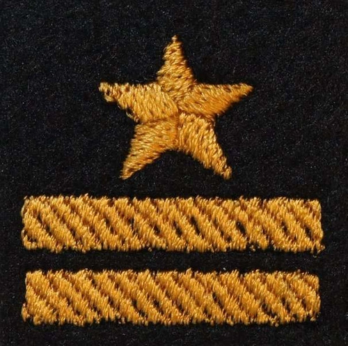 Dystynkcja na beret PSP - młodszy brygadier