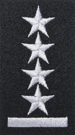 Stopień Wojska Polskiego do beretu czarnego - kapitan