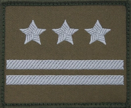 Dystynkcja na kurtkę wyjściową Wojsk Lądowych - pułkownik