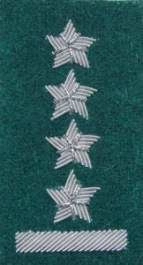 Stopień Wojska Polskiego haftowany bajorkiem do beretu zielonego - kapitan