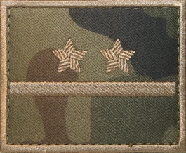 Dystynkcja polowa - porucznik kawalerii ochotniczej