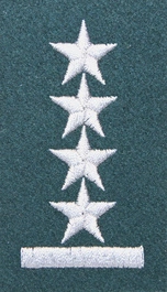 Stopień Wojska Polskiego do beretu zielonego - kapitan