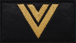 Dystynkcja do ubrania koszarowego - PSP - starszy ogniomistrz