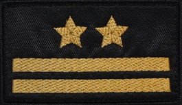 Dystynkcja do ubrania koszarowego - PSP - brygadier