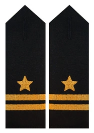 Pagony do koszuli PSP - młodszy brygadier