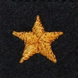 Dystynkcja na beret PSP - aspirant