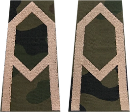 Pochewki polowe - wachmistrz kawalerii ochotniczej