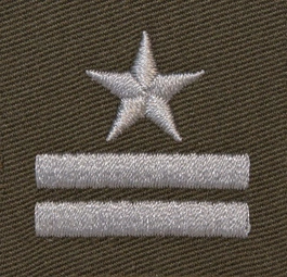 Stopień do furażerki galowej Wojsk Lądowych - major