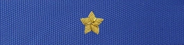 Otok do czapki garnizonowej PSP - aspirant, młodszy brygadier (haft bajorkiem) - WYPRZEDAŻ