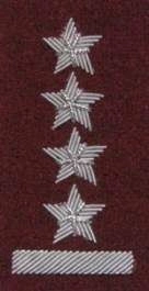 Stopień Wojska Polskiego haftowany bajorkiem do beretu bordowego - kapitan
