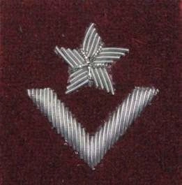 Stopień Wojska Polskiego haftowany bajorkiem do beretu bordowego - młodszy chorąży