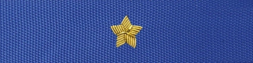 Otok do czapki garnizonowej PSP - aspirant, młodszy brygadier (haft bajorkiem)