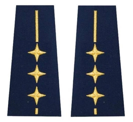 Pagony (pochewki) Straży Miejskiej - starszy inspektor