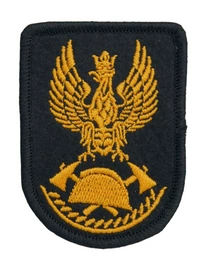 Orzełek do beretu Państwowej Straży Pożarnej