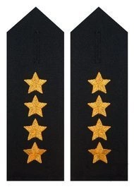 Pagony do koszuli PSP - starszy kapitan