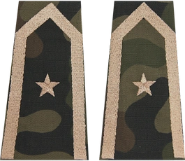 Pochewki polowe - chorąży kawalerii ochotniczej