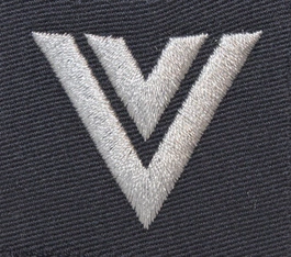 Stopień do furażerki galowej Sił Powietrznych - starszy sierżant