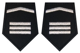 Patki OSP - pomocnik dowódcy sekcji