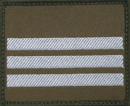 Dystynkcja na kurtkę wyjściową Wojsk Lądowych - starszy kapral