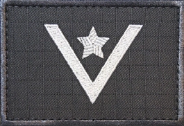 Dystynkcja specjalna SW - młodszy chorąży