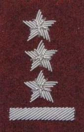 Stopień Wojska Polskiego haftowany bajorkiem do beretu bordowego - porucznik