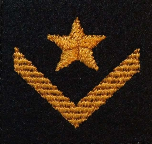 Dystynkcja na beret PSP - młodszy aspirant