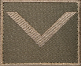 Dystynkcja khaki - wachmistrz kawalerii ochotniczej