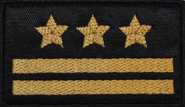 Dystynkcja do ubrania koszarowego - PSP - starszy brygadier