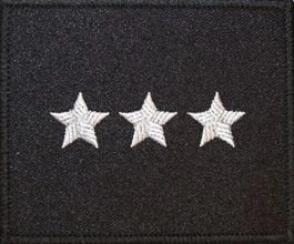 Dystynkcja na kurtkę wyjściową Sił Powietrznych - chorąży sztabowy