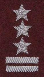 Stopień Wojska Polskiego haftowany bajorkiem do beretu bordowego (tłoczonego) - pułkownik