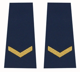 Pagony (pochewki) Straży Miejskiej - młodszy specjalista