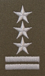 Stopień do furażerki galowej Wojsk Lądowych - pułkownik