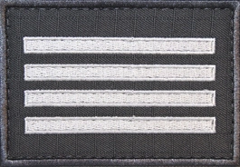 Dystynkcja specjalna SW - plutonowy