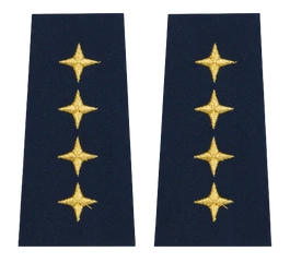 Pagony (pochewki) Straży Miejskiej - naczelnik