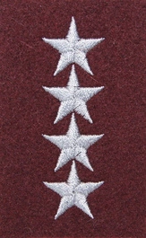 Stopień na beret WP (bordowy / h) - starszy chorąży sztabowy
