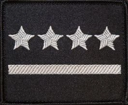 Dystynkcja na kurtkę wyjściową Sił Powietrznych - kapitan