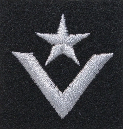 Stopień Wojska Polskiego do beretu czarnego - młodszy chorąży