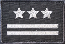 Dystynkcja specjalna SW - pułkownik