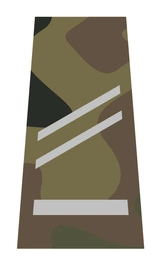 Pochewka KM - starszy brygadier